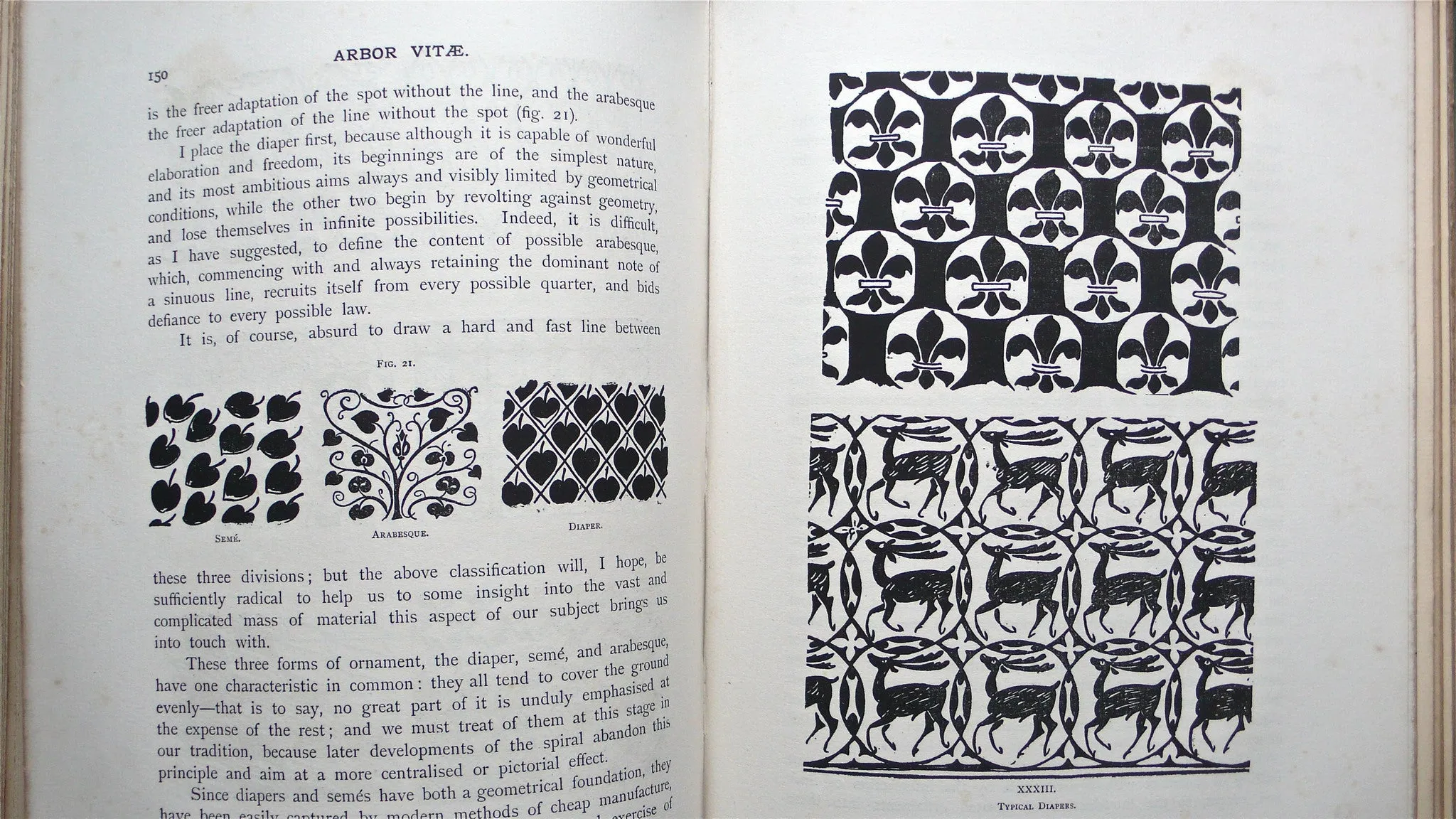 Arbor Vitae