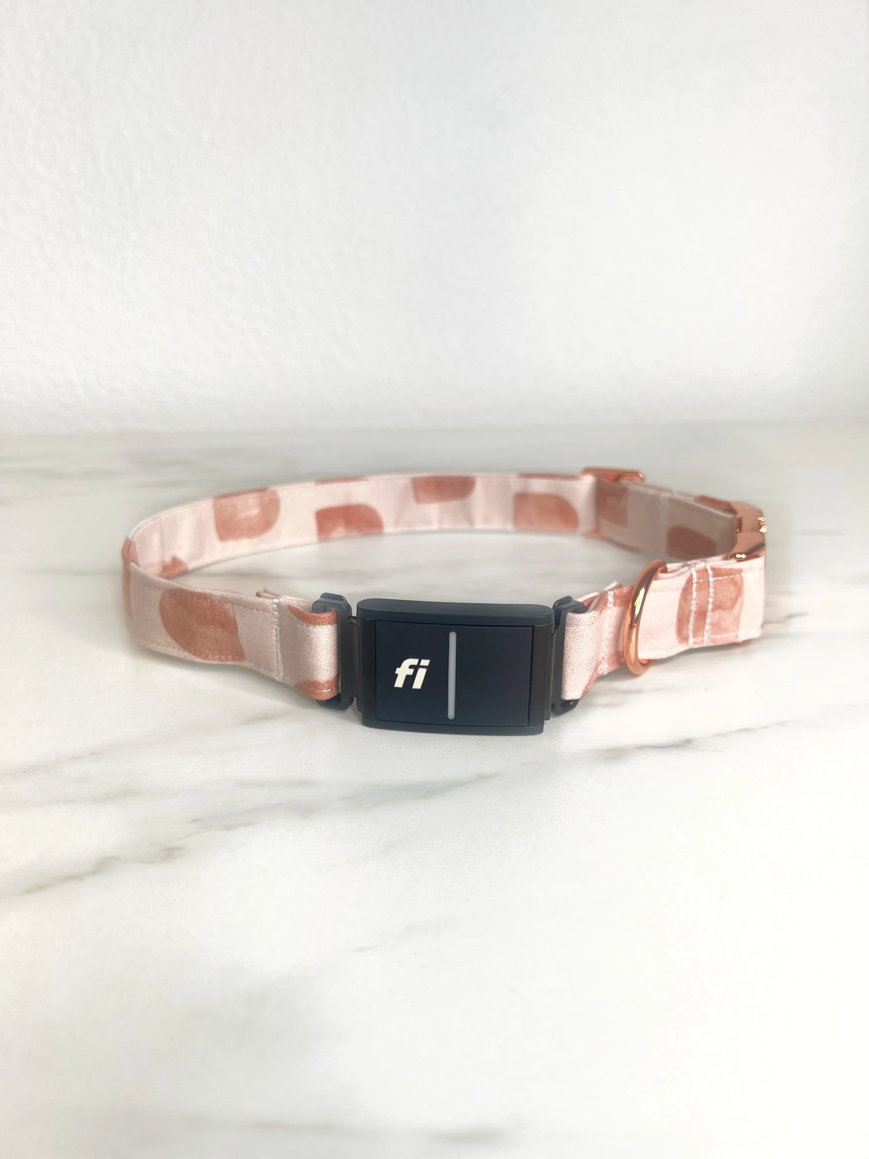 Arches Fi Compatible Collar