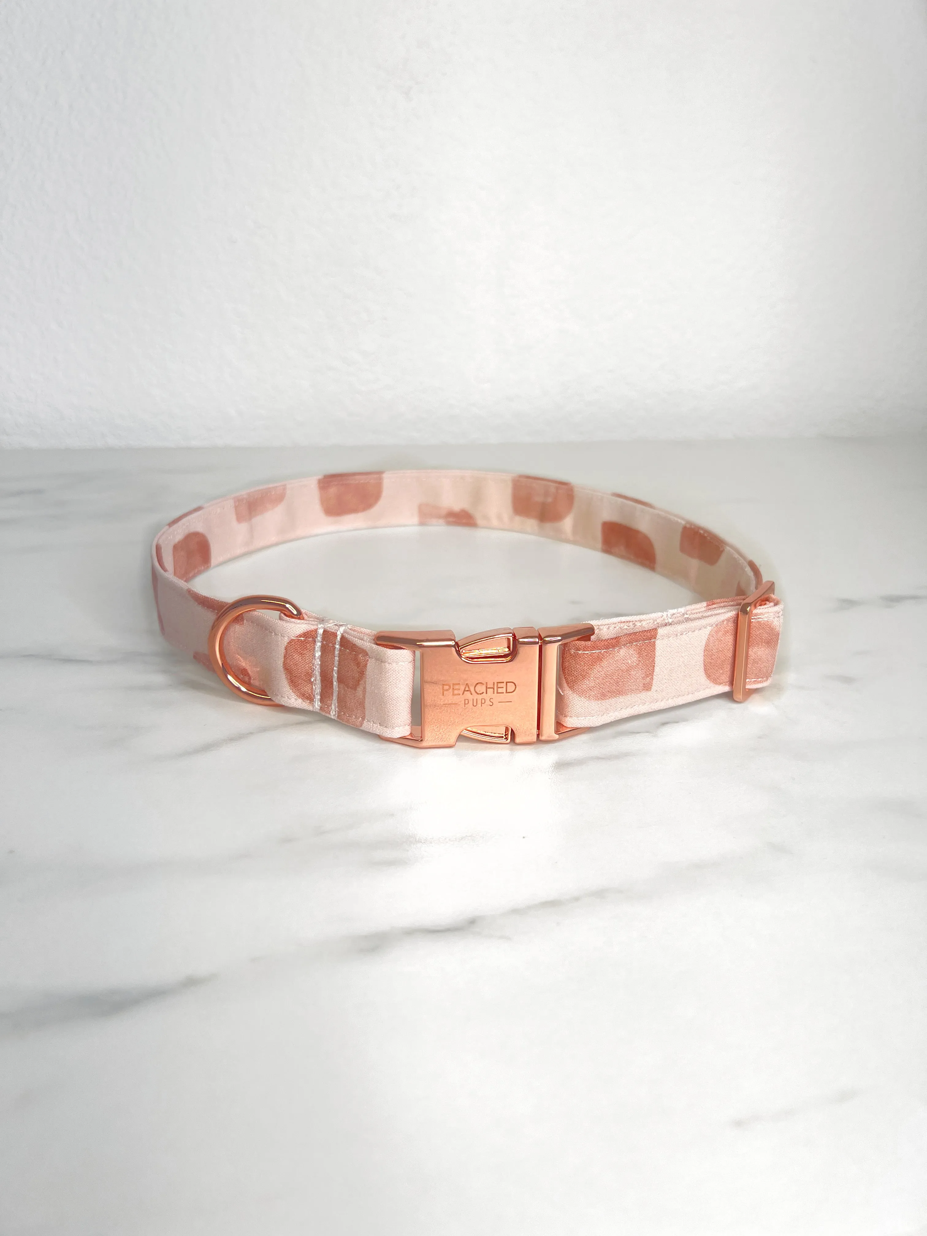 Arches Fi Compatible Collar