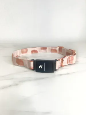 Arches Fi Compatible Collar