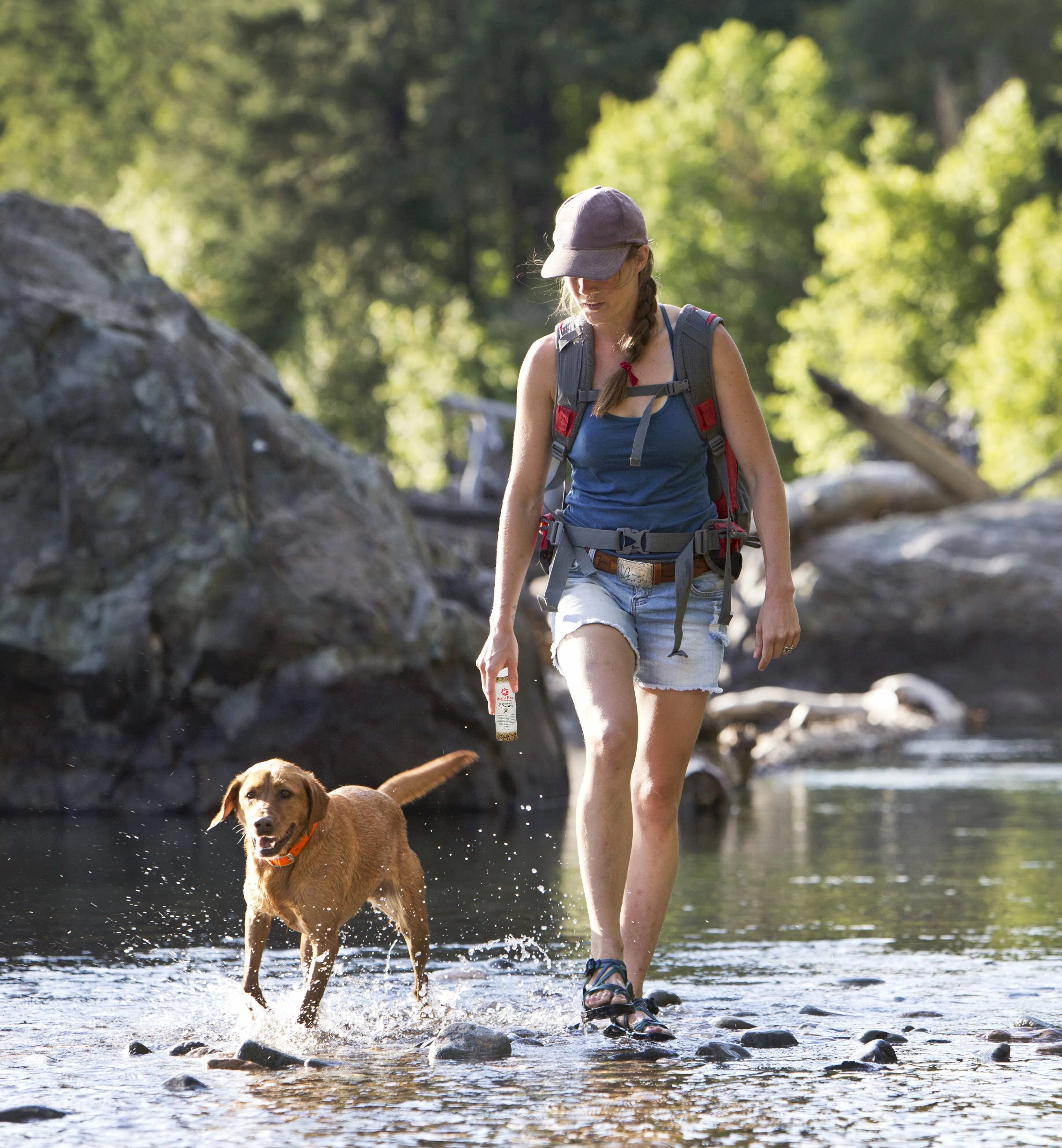 Aroma Paws - 4.5 Oz Repellent and Dog Coat Spray Collection