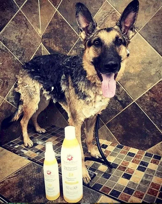 Aroma Paws - 4.5 Oz Repellent and Dog Coat Spray Collection