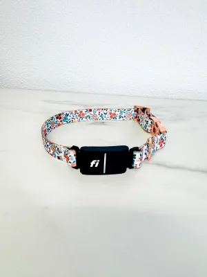 Autumn Bloom Fi Compatible Collar