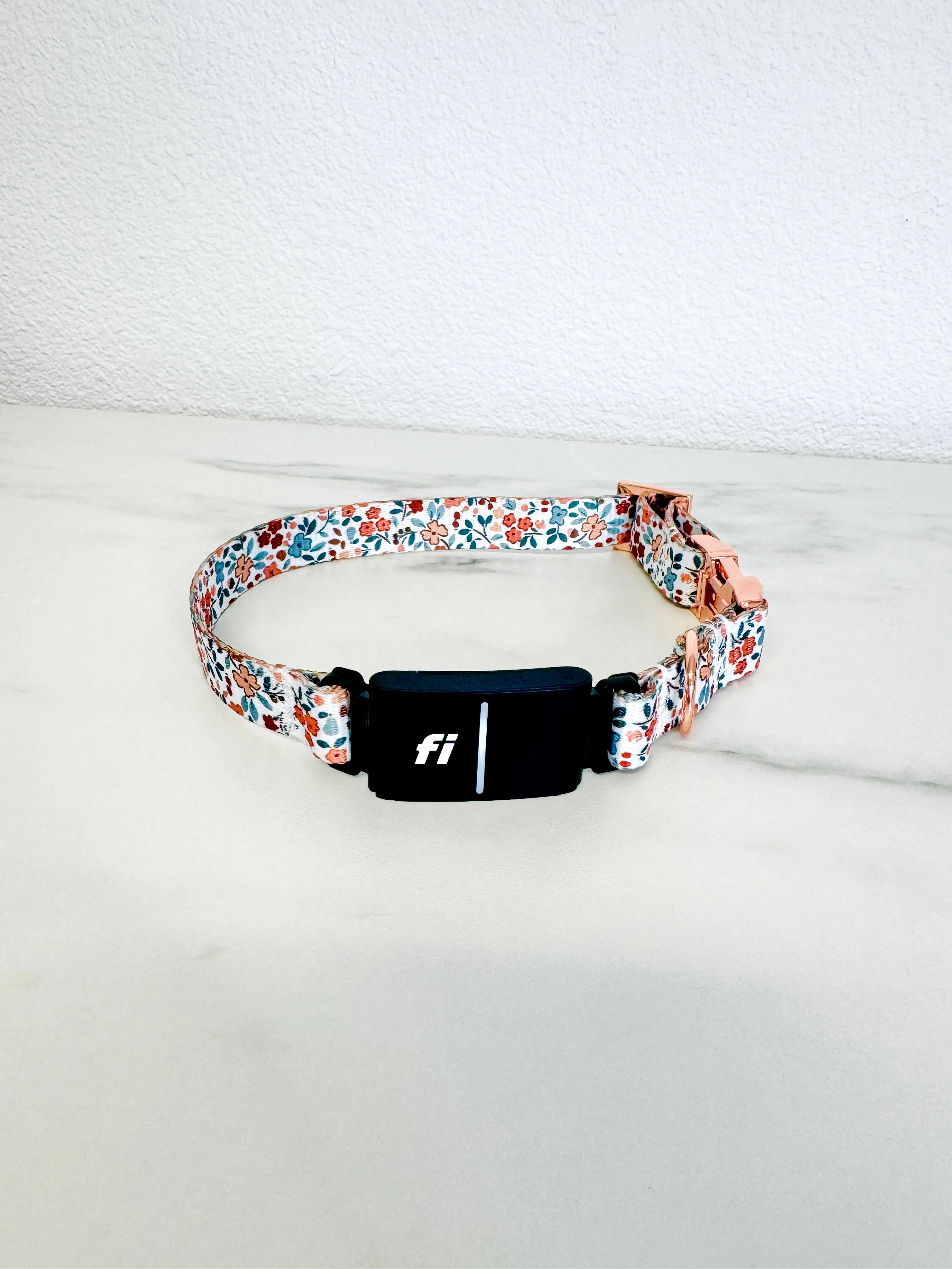 Autumn Bloom Fi Compatible Collar