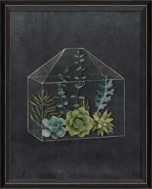 BC Terrarium A Perpetual Story Sm