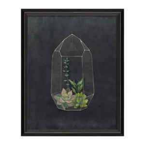 BC Terrarium A Wonderful Future Sm