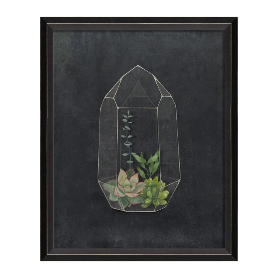 BC Terrarium A Wonderful Future Sm