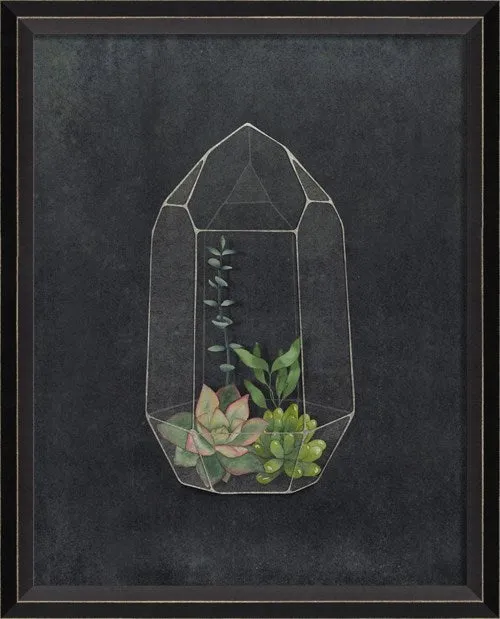 BC Terrarium A Wonderful Future Sm