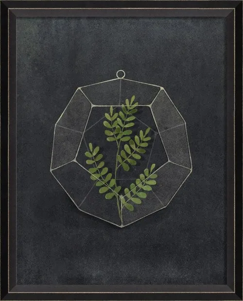 BC Terrarium I Am Sm