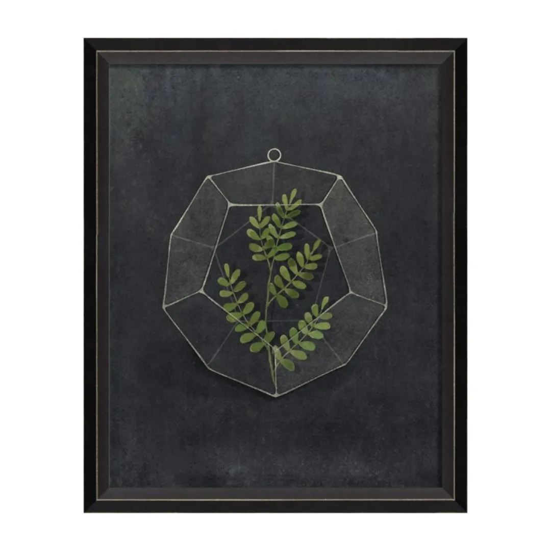 BC Terrarium I Am Sm