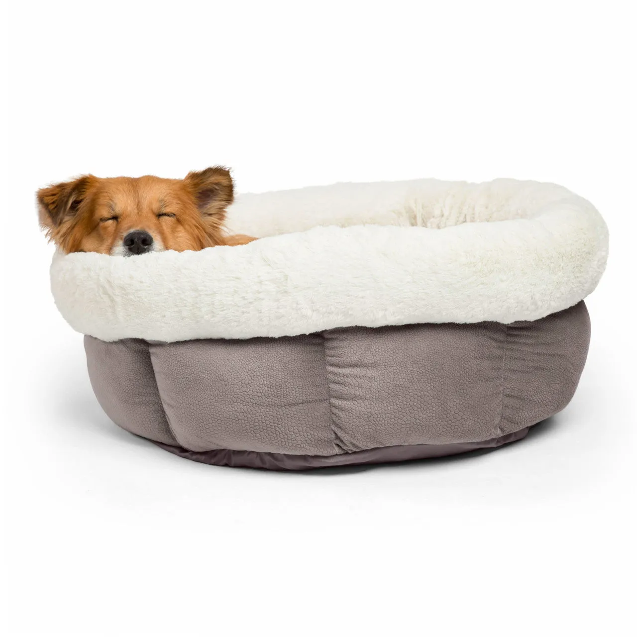 Best Friends by Sheri Cuddle Cup Pet Bed