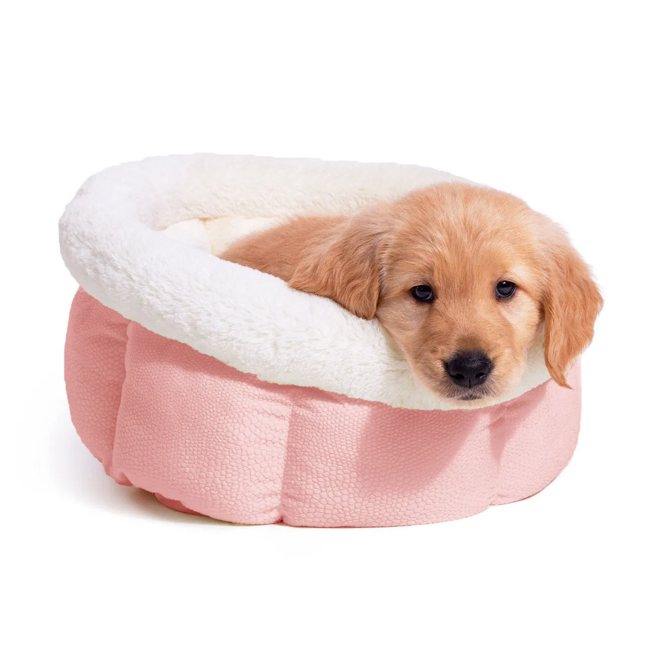 Best Friends by Sheri Cuddle Cup Pet Bed