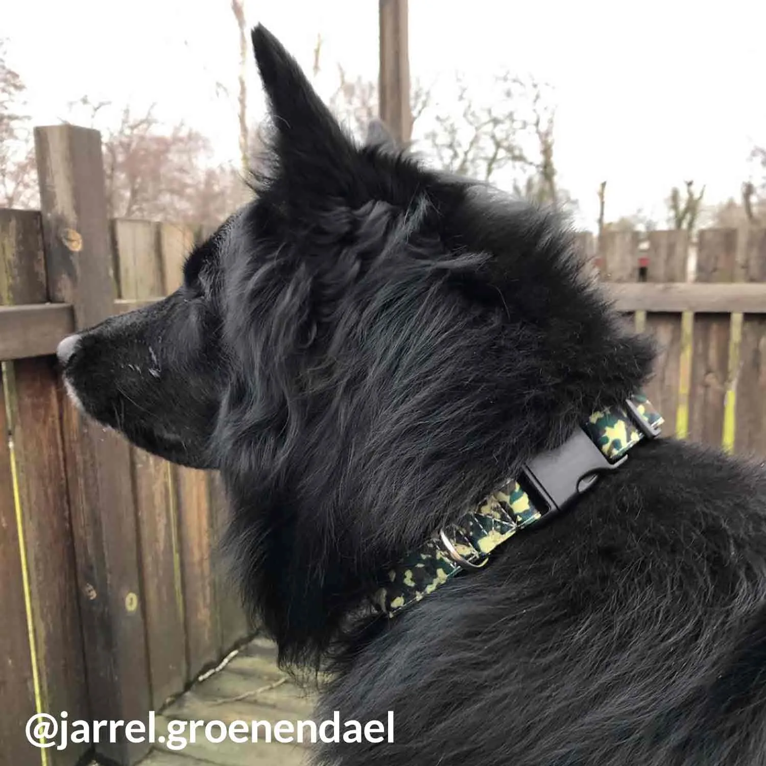 Camouflage Collar, Bracelet & Leash Combo