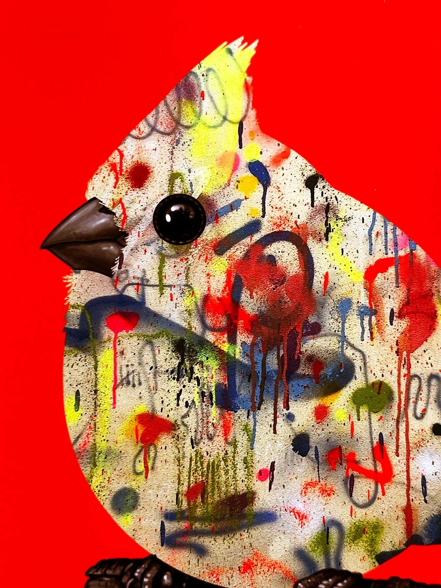 Cardinal II (Reeder x Mike Mitchell)