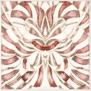 Carnations 2 - Natural Curiosities