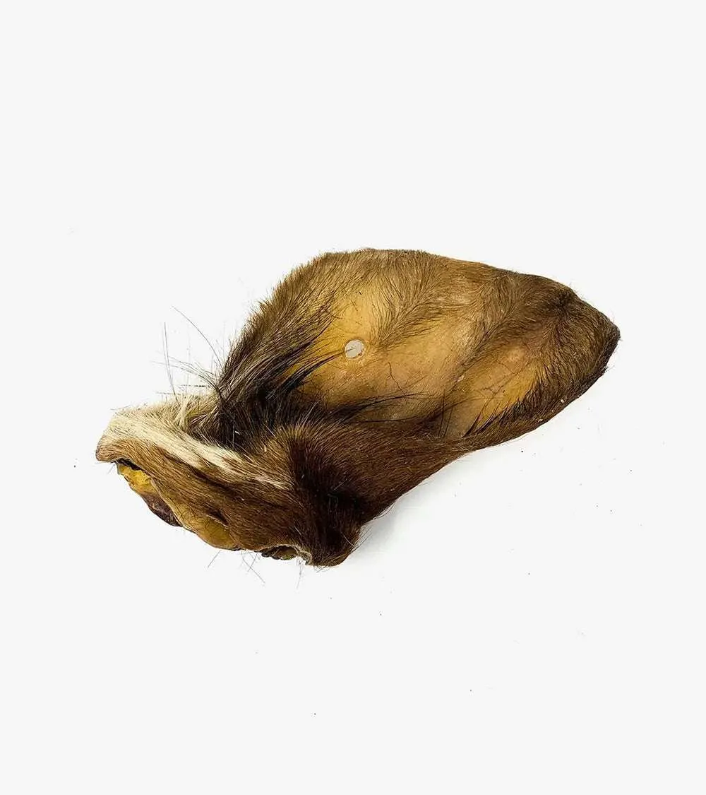 Cattle Ear with Fur (1 Piece)