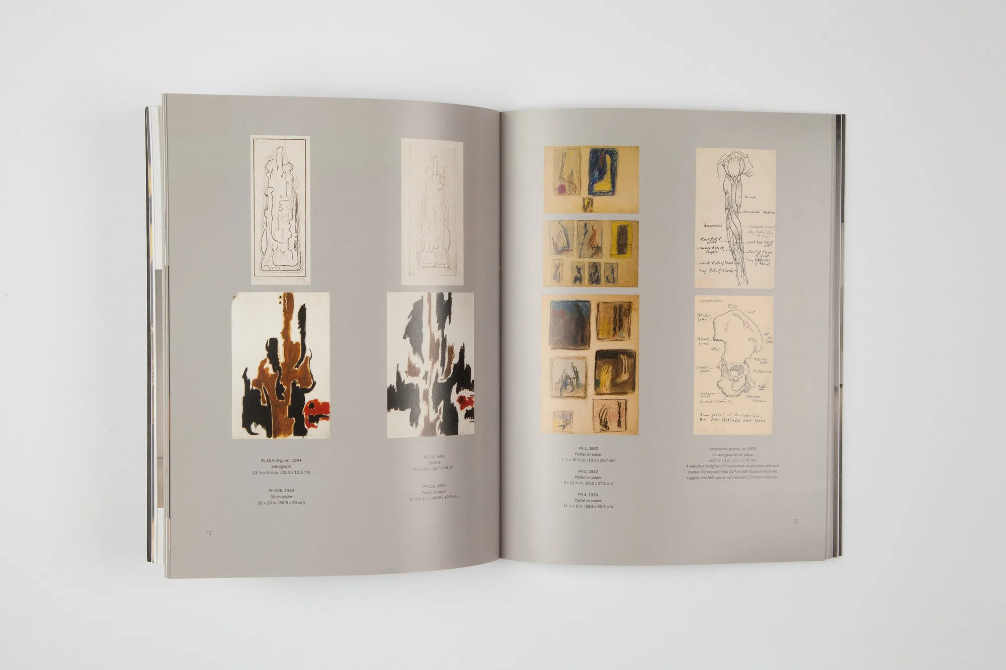Clyfford Still: The Works on Paper