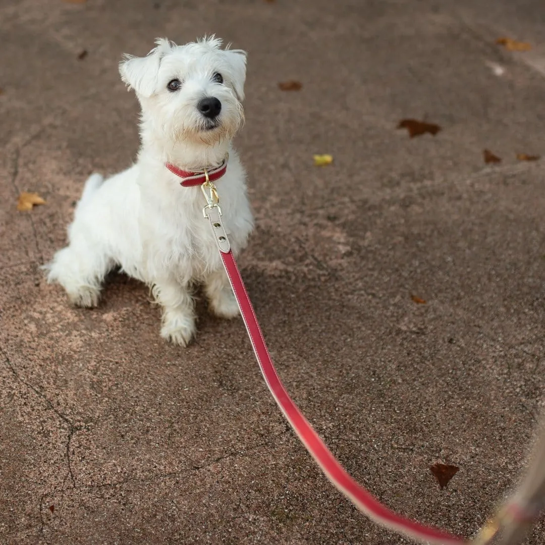Copenhagen Vegan Leather 4ft Leash | Multiple Colours