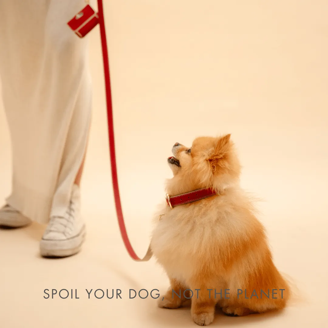 Copenhagen Vegan Leather 4ft Leash | Multiple Colours