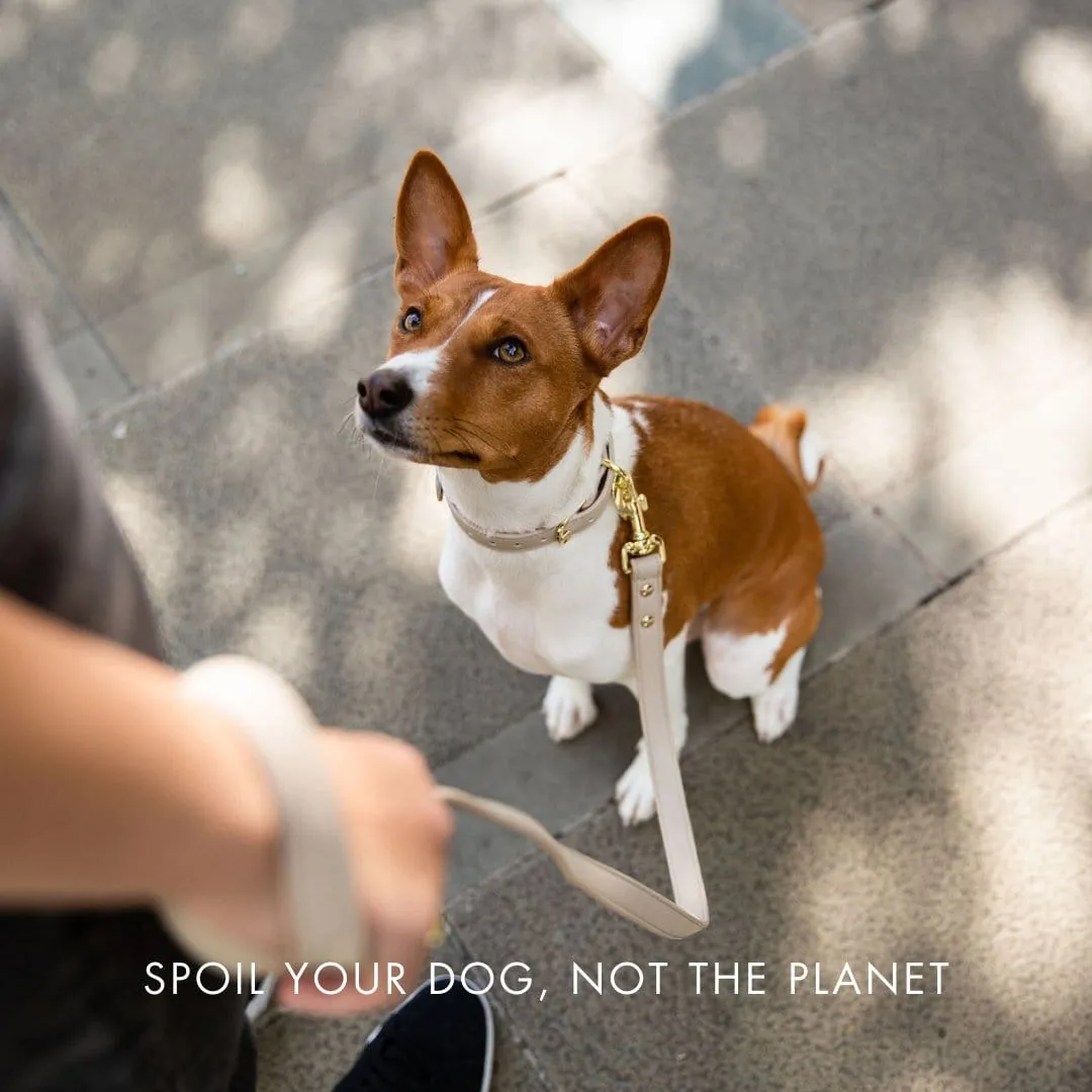 Copenhagen Vegan Leather Dog Collar | Multiple Colours