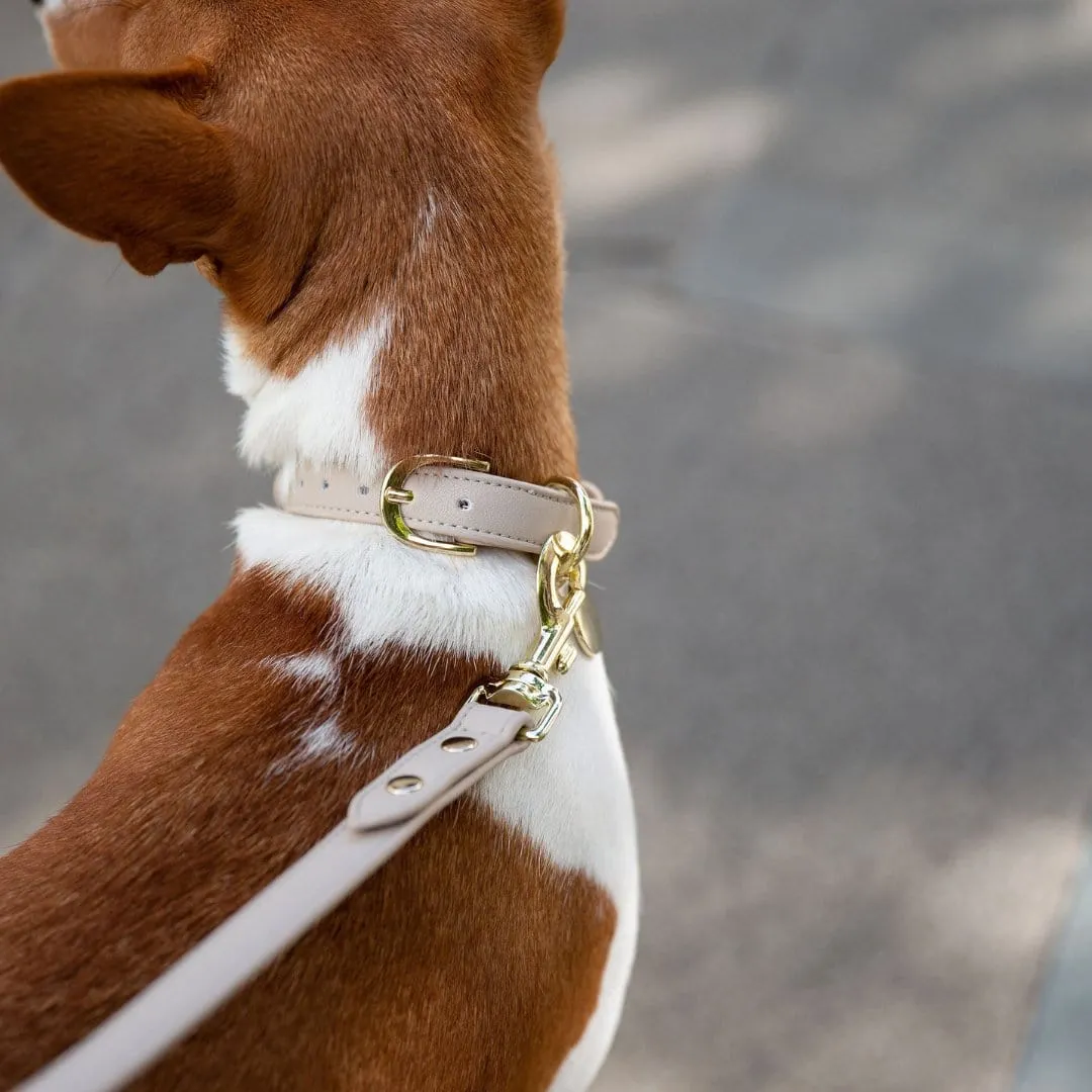 Copenhagen Vegan Leather Dog Collar | Multiple Colours