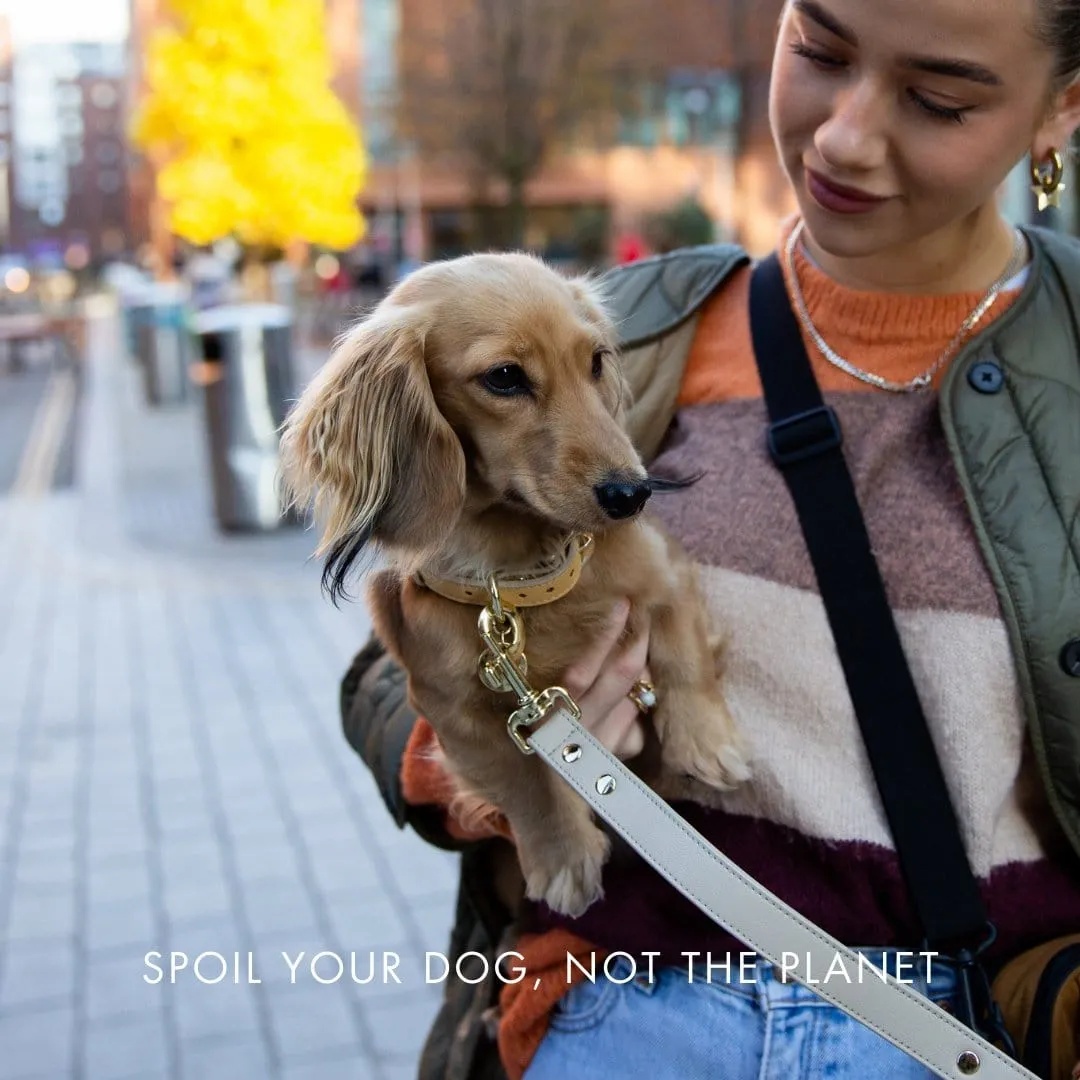 Copenhagen Vegan Leather Dog Collar | Multiple Colours