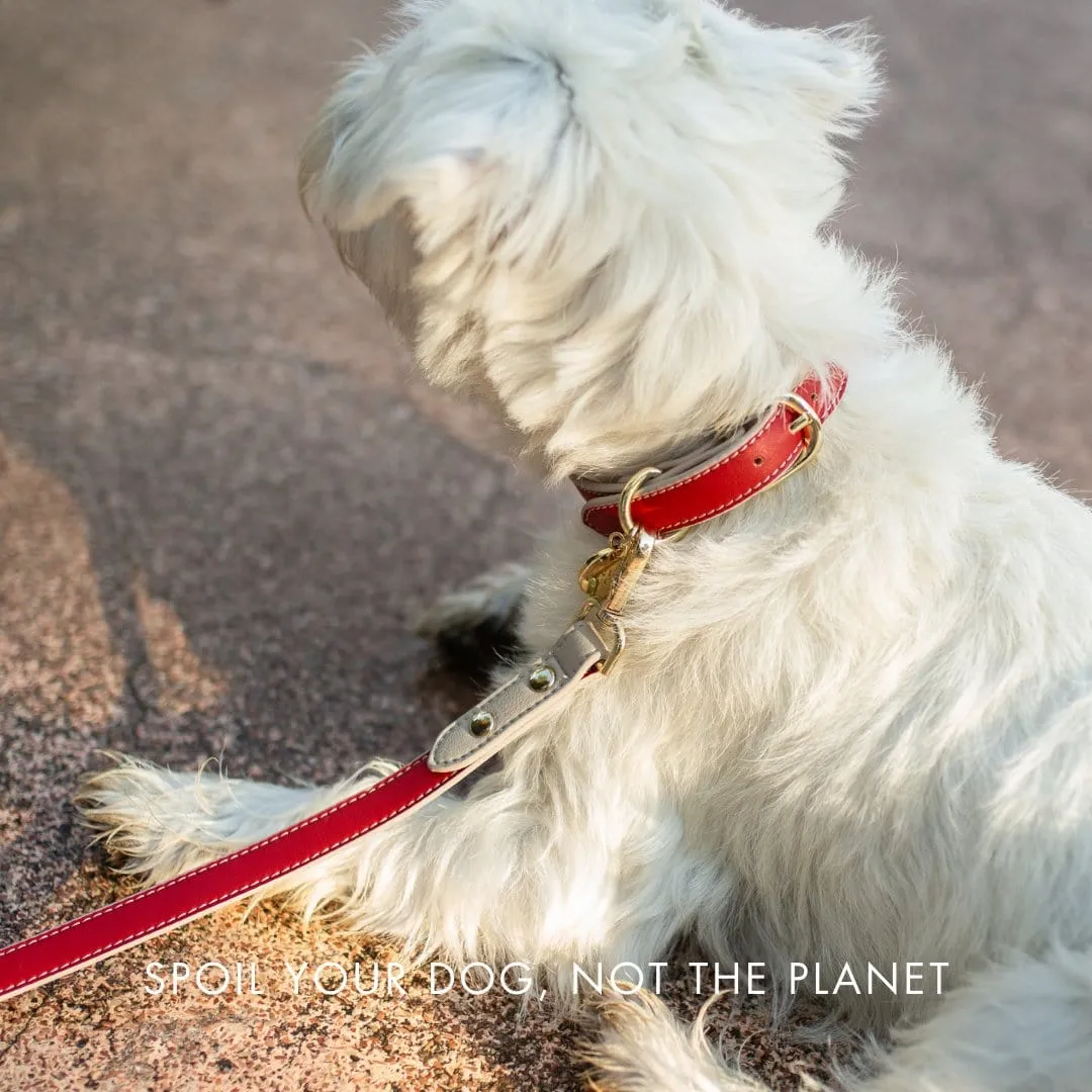 Copenhagen Vegan Leather Dog Collar | Multiple Colours