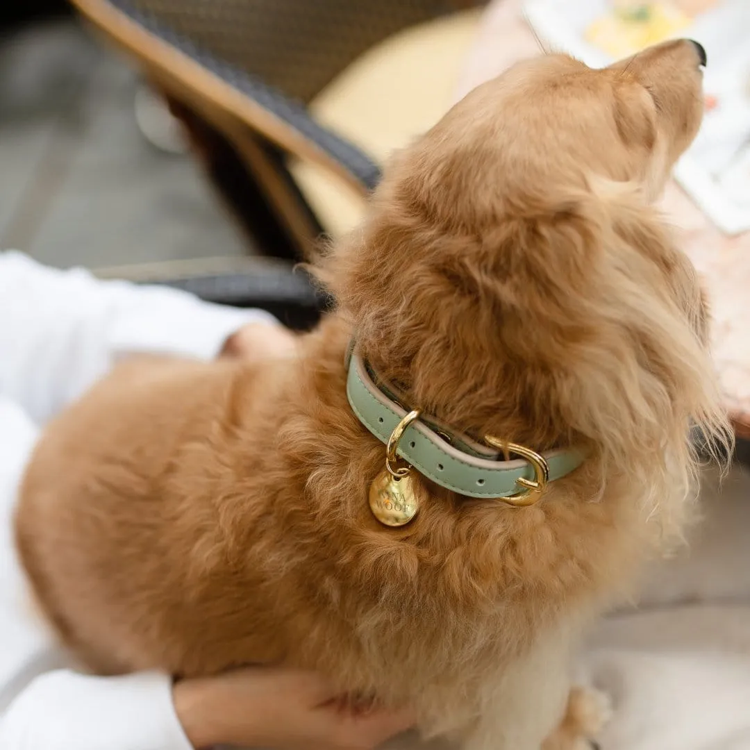 Copenhagen Vegan Leather Dog Collar | Multiple Colours
