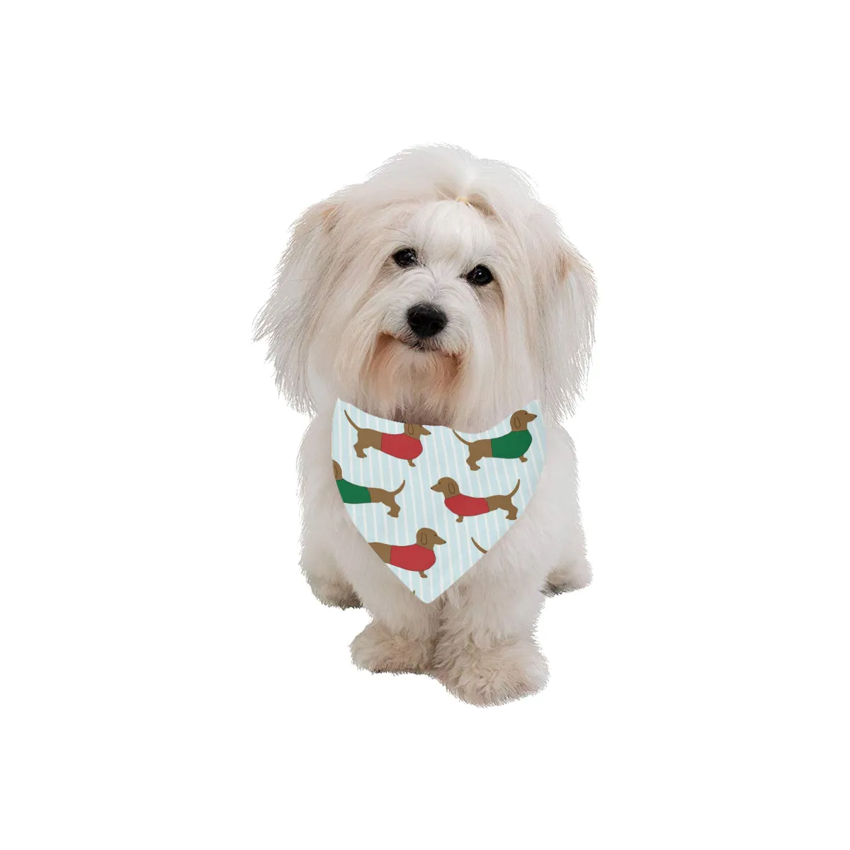 Dachshund Pet Bandana - Multi