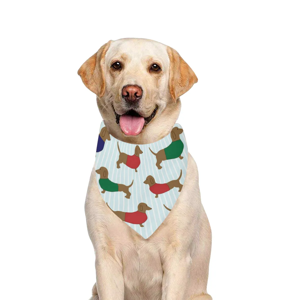 Dachshund Pet Bandana - Multi