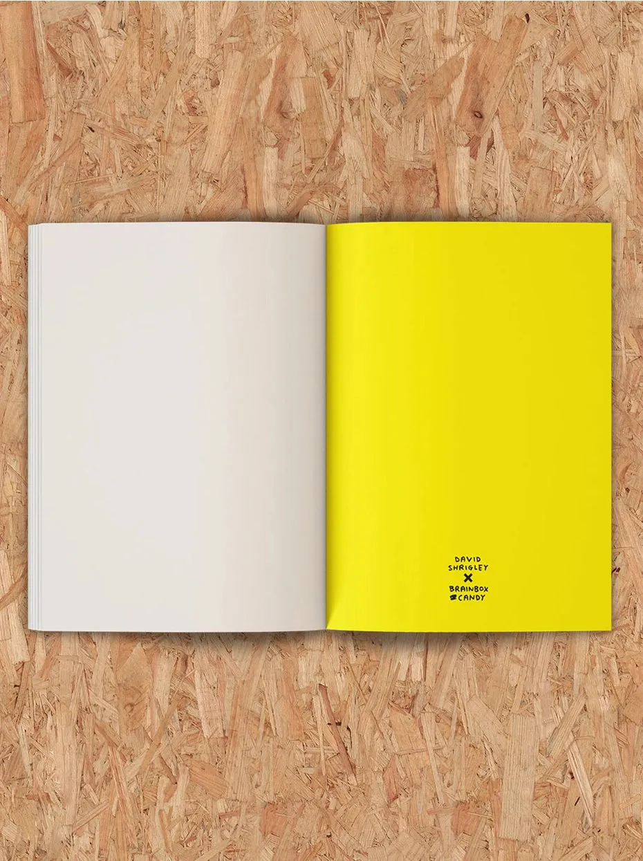 David Shrigley | Art Sketchbook "My Artwork Is Terrible"