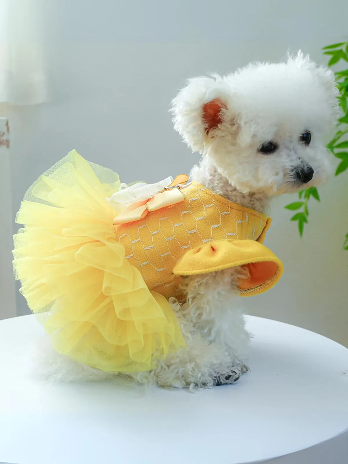 Dog Beauty Tutu Halloween Costume