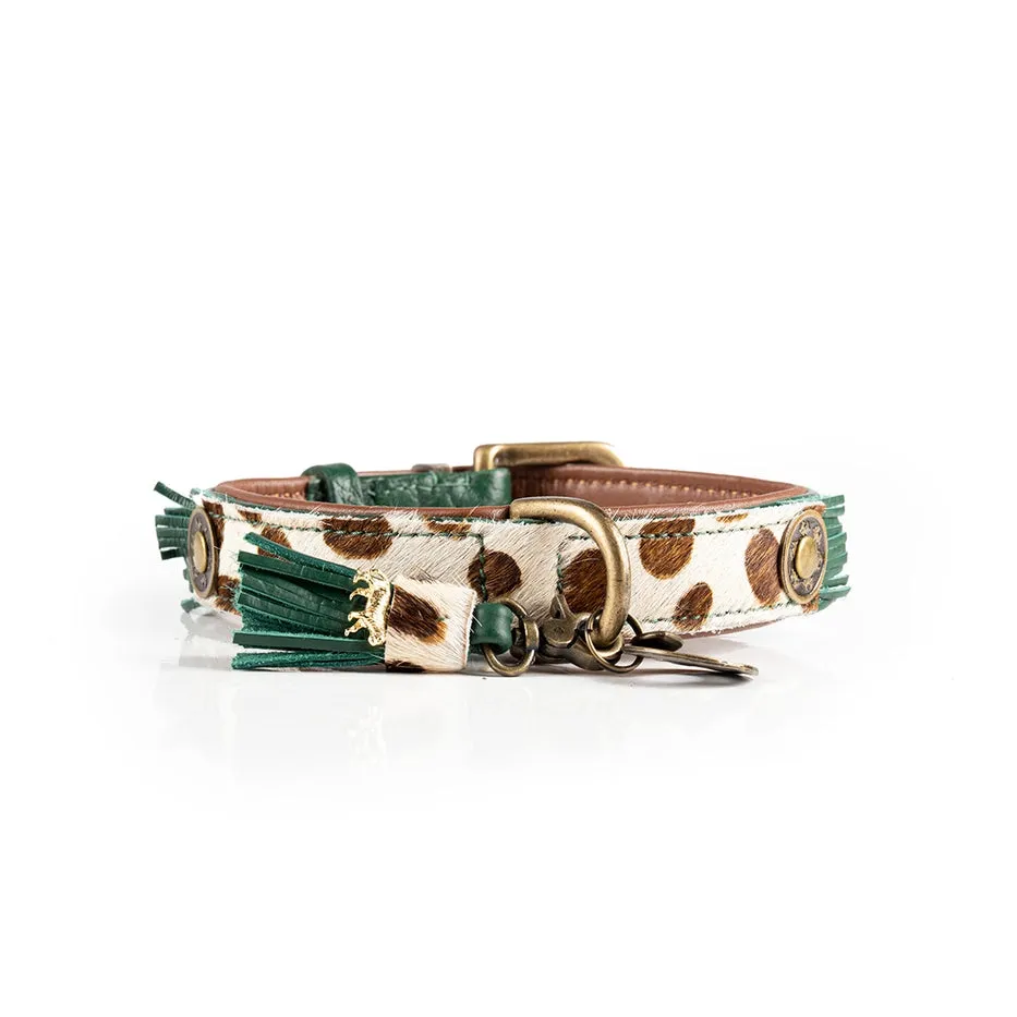 Dog With A Mission Dog Collar  - Ivy Collar