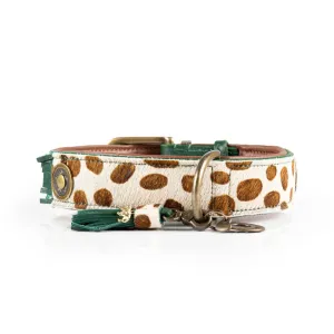 Dog With A Mission Dog Collar  - Ivy Collar