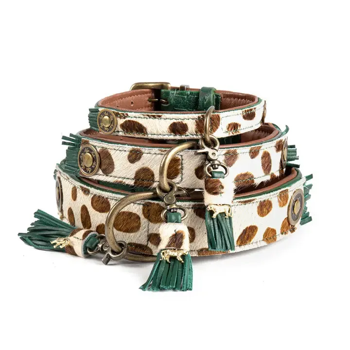 Dog With A Mission Dog Collar  - Ivy Collar