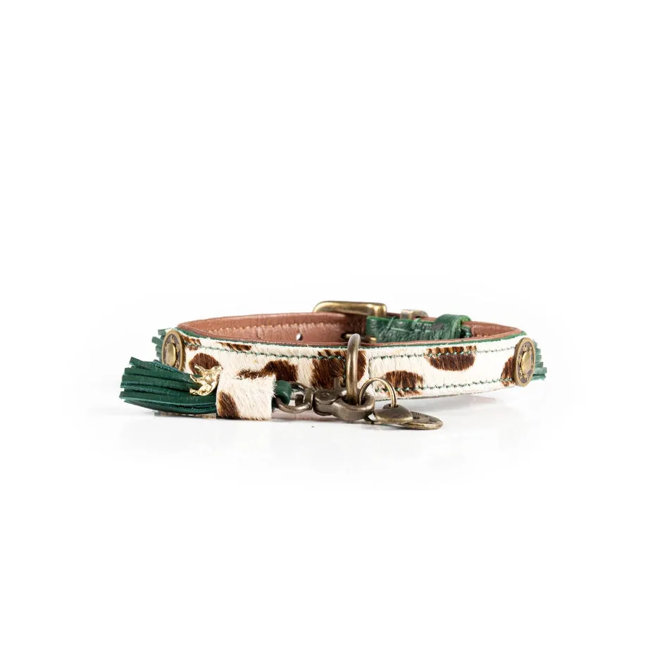 Dog With A Mission Dog Collar  - Ivy Collar