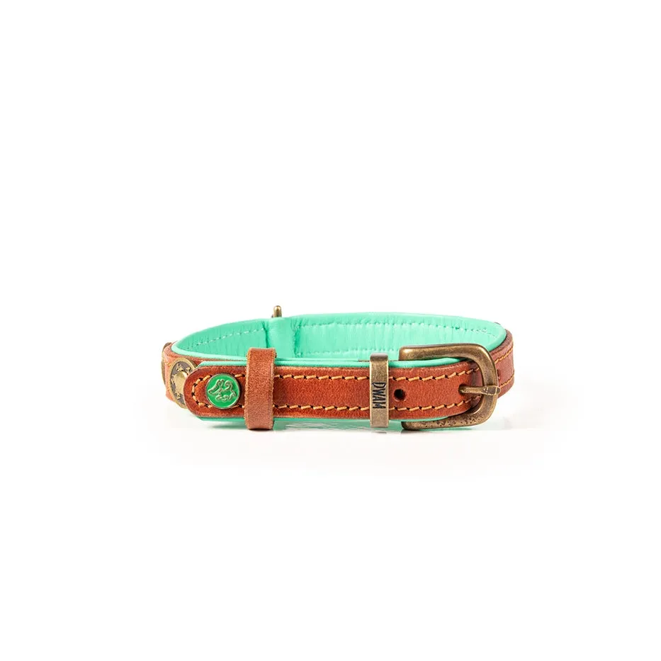 Dog with a Mission Leather Dog Collar-Urban & Urban Wide
