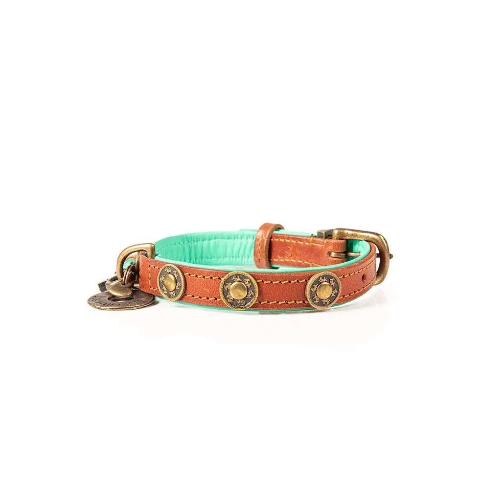 Dog with a Mission Leather Dog Collar-Urban & Urban Wide