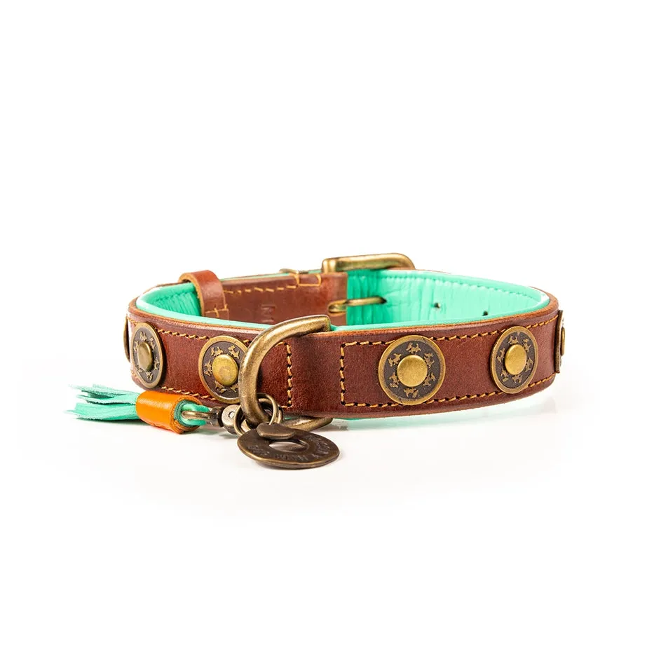 Dog with a Mission Leather Dog Collar-Urban & Urban Wide