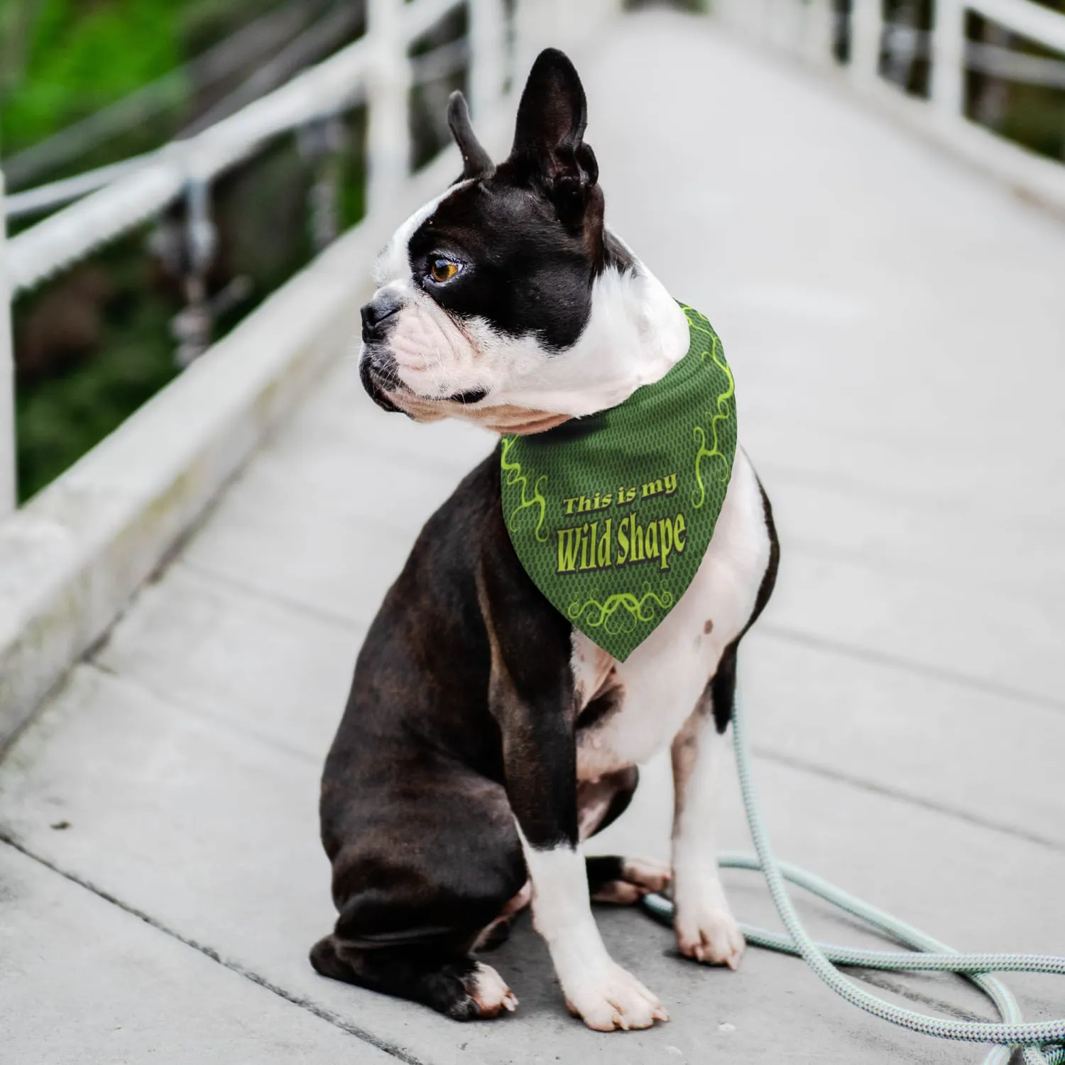 Druid Wild Shape Pet Bandana