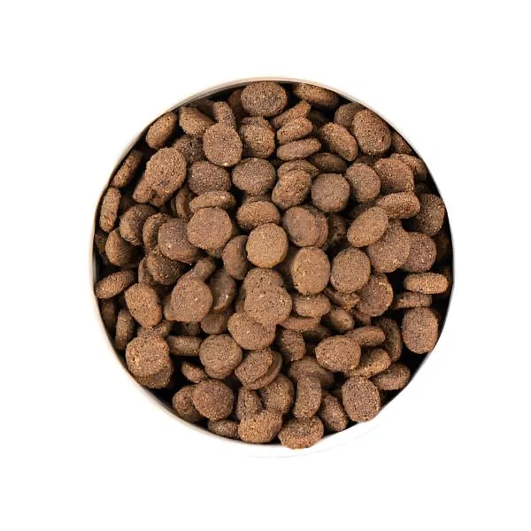 Earthborn Unrefined Smoked Salmon & Ancient Grains