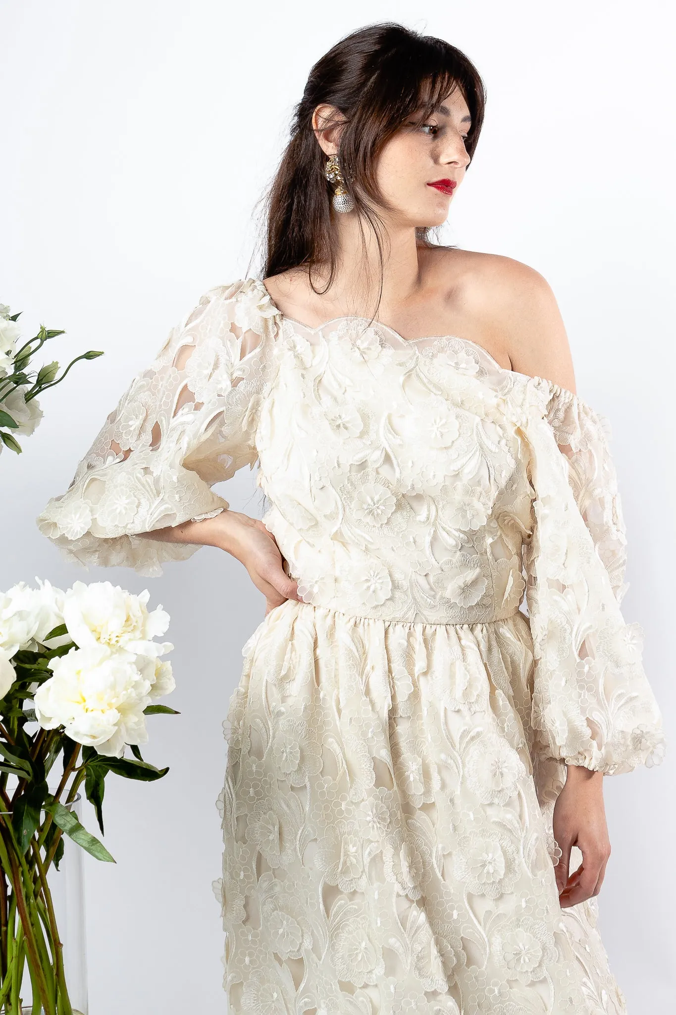 Embroidered Lace Balloon Sleeve Dress