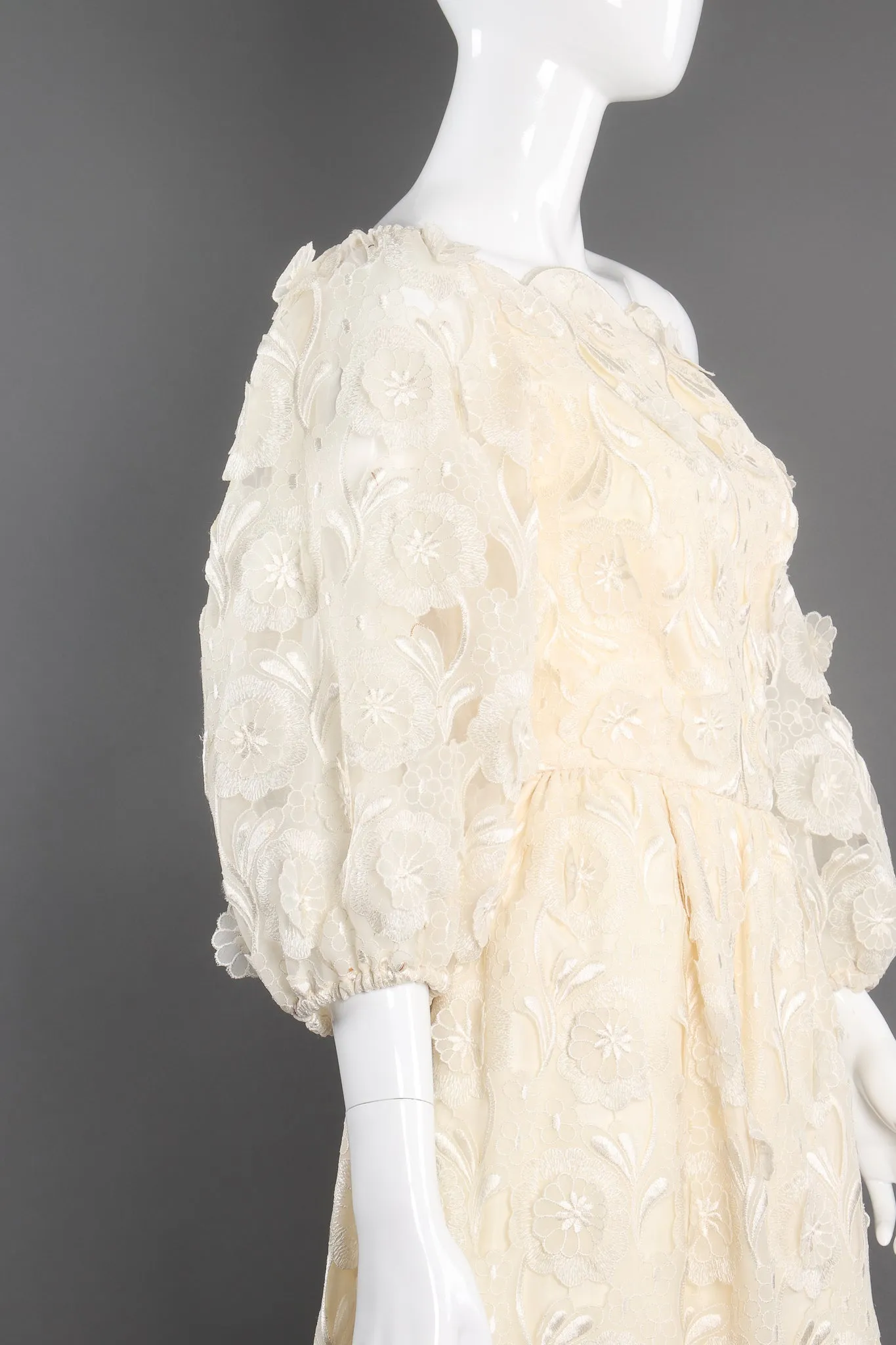 Embroidered Lace Balloon Sleeve Dress