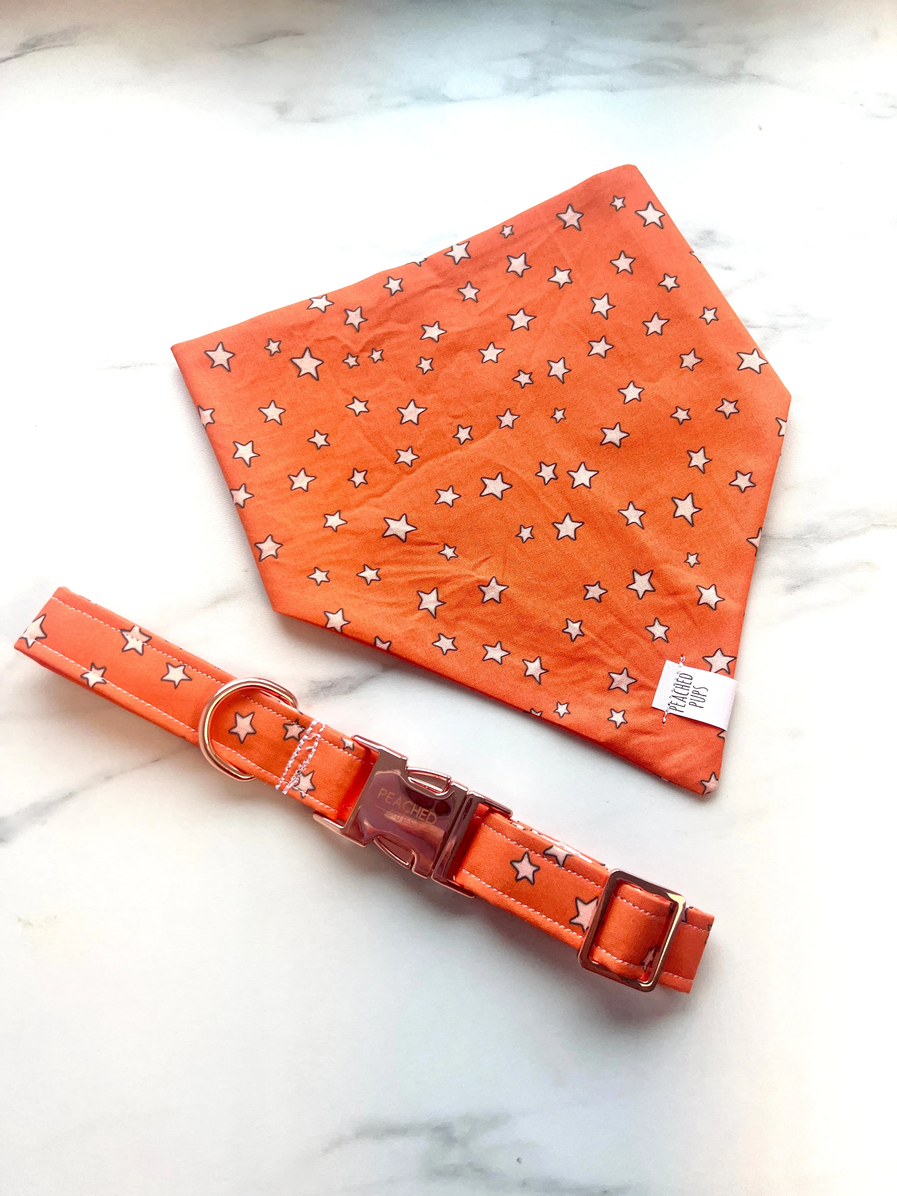 Fall Stars Fi Compatible Collar