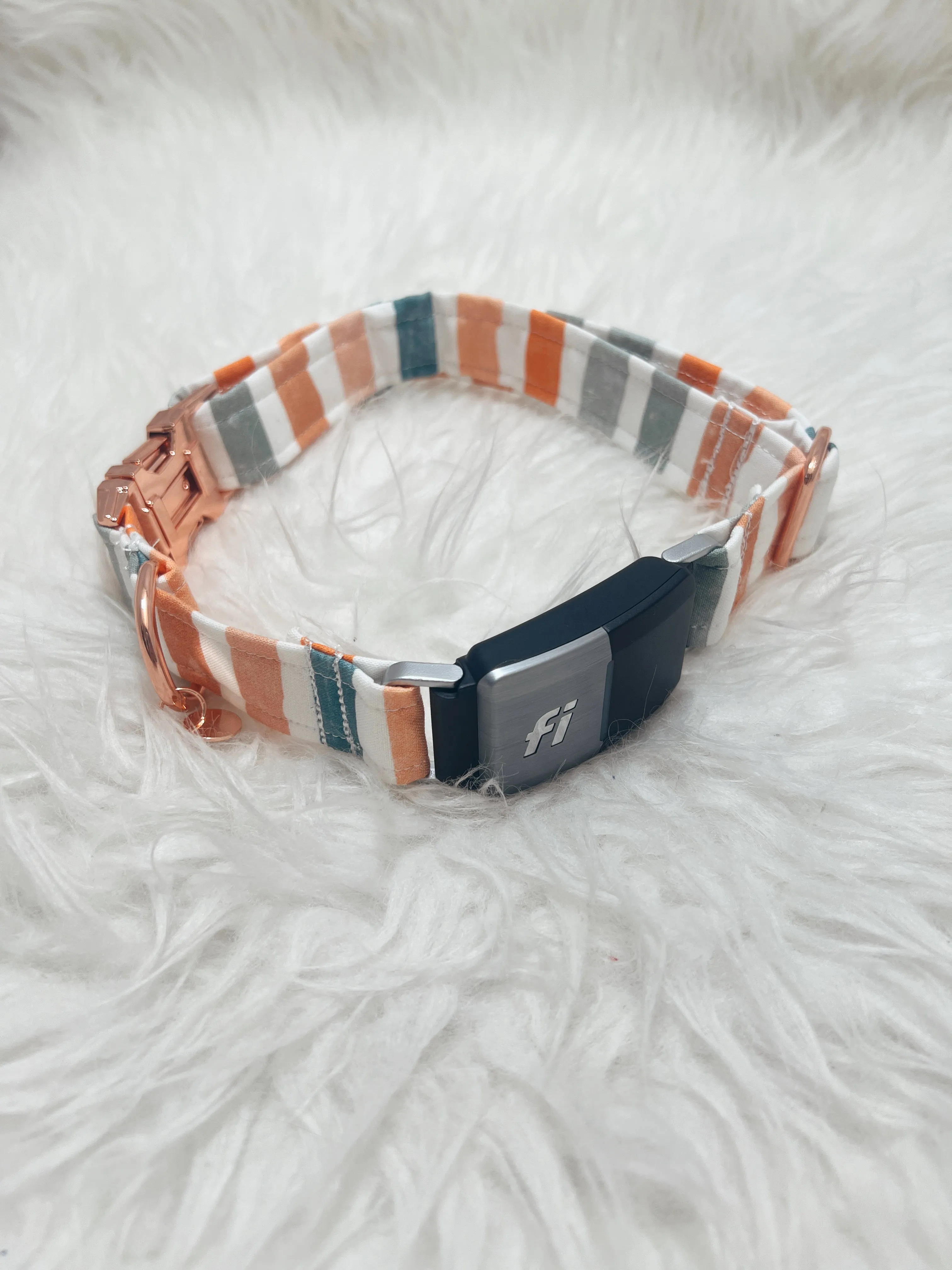 Fall Stripes Pastel Fi Compatible Collar