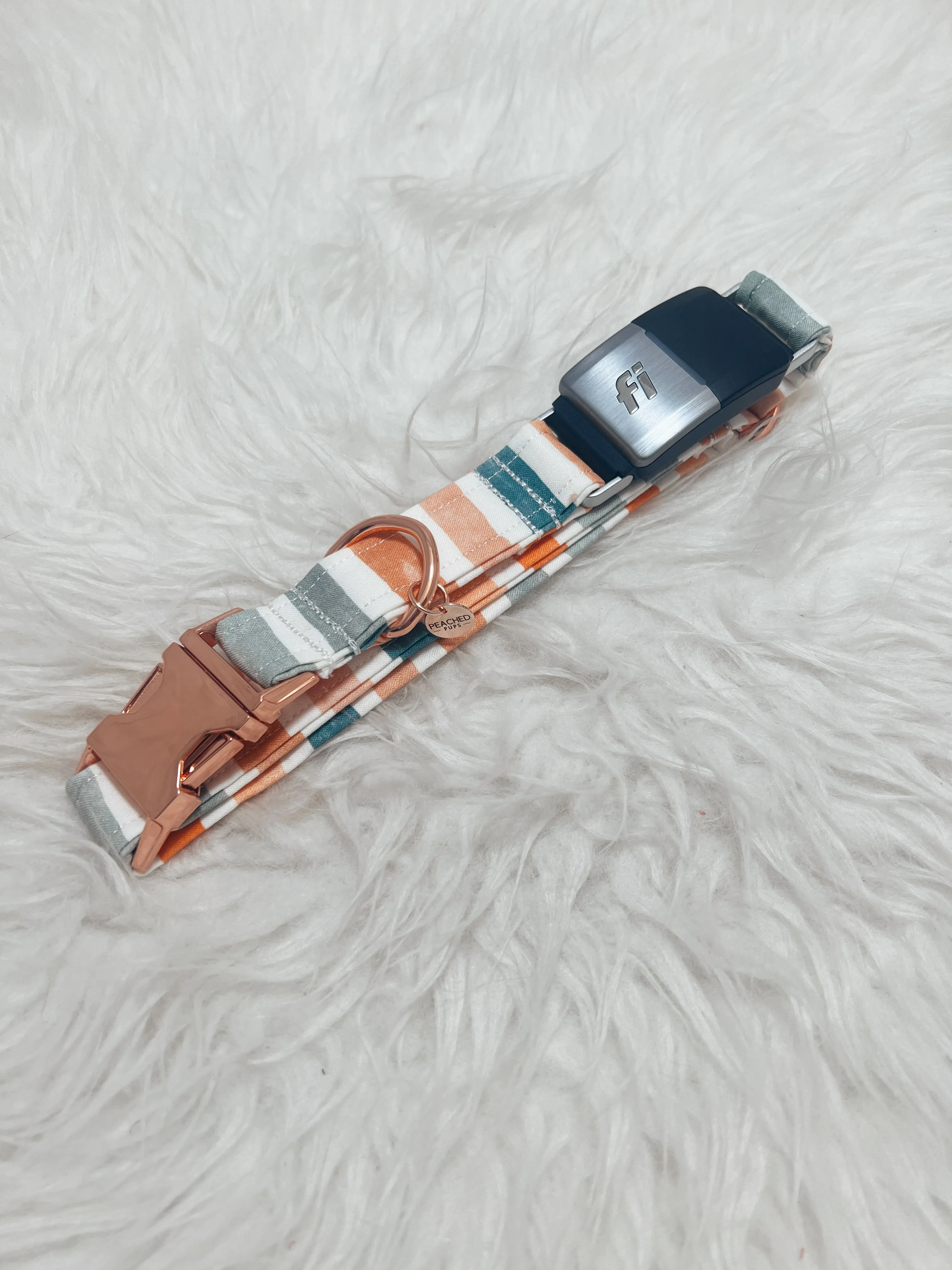 Fall Stripes Pastel Fi Compatible Collar