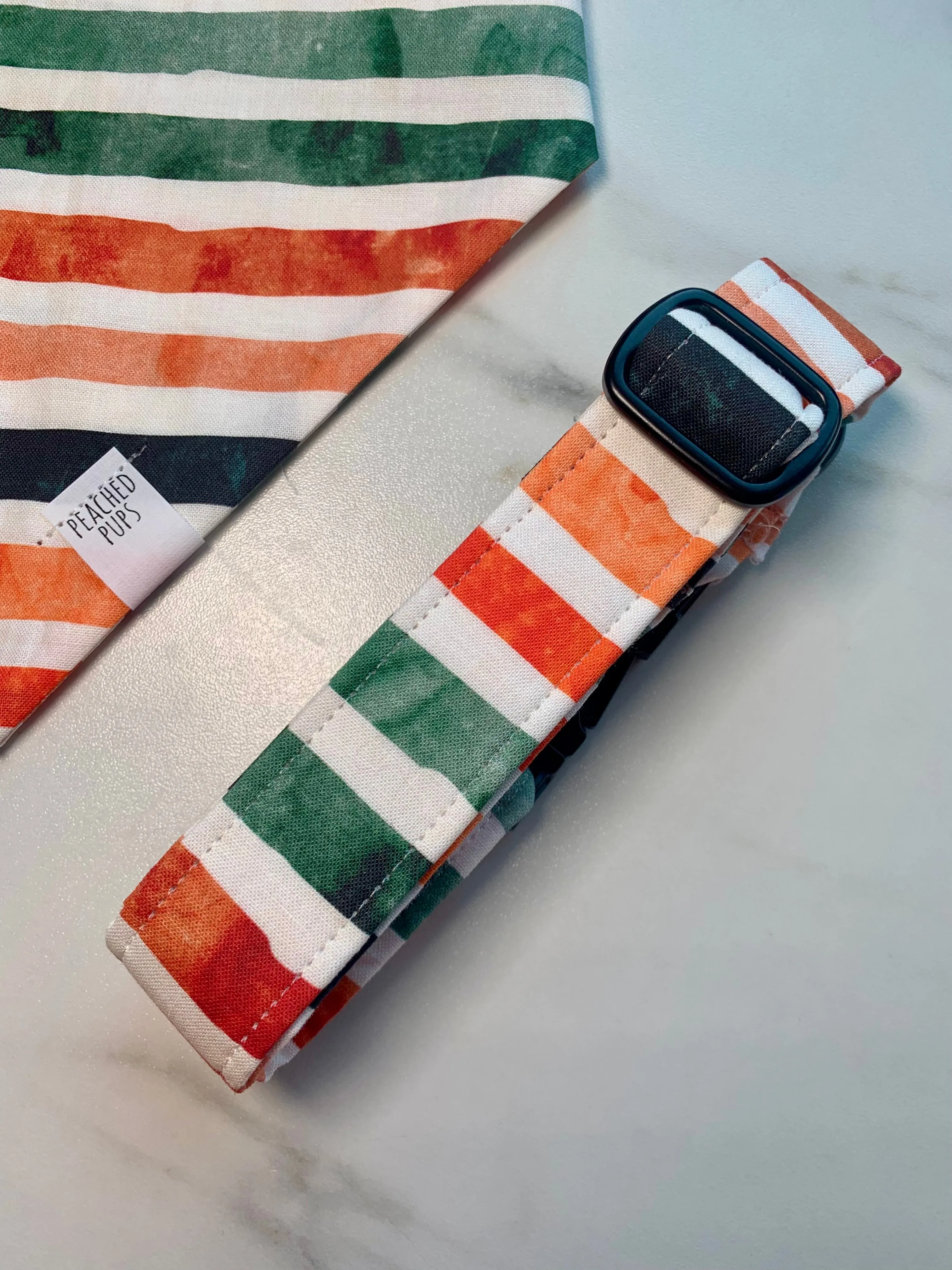 Fall Stripes Vibrant Fi Compatible Collar