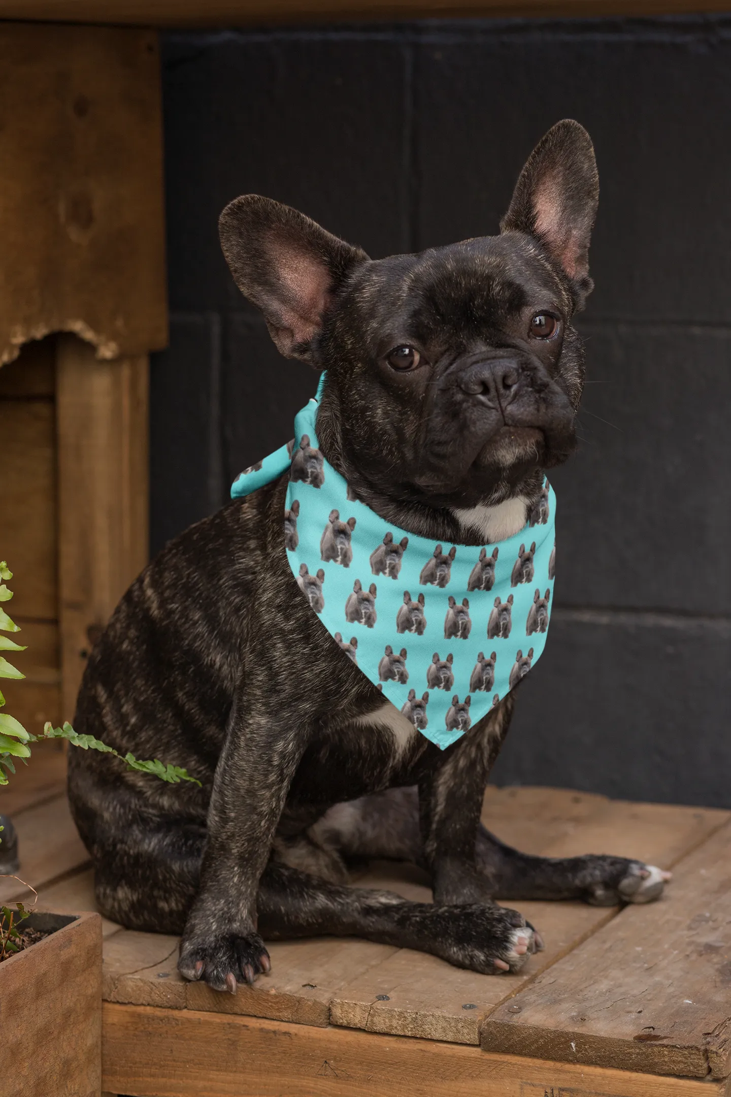 French Bulldog Pet Bandana - Brindle