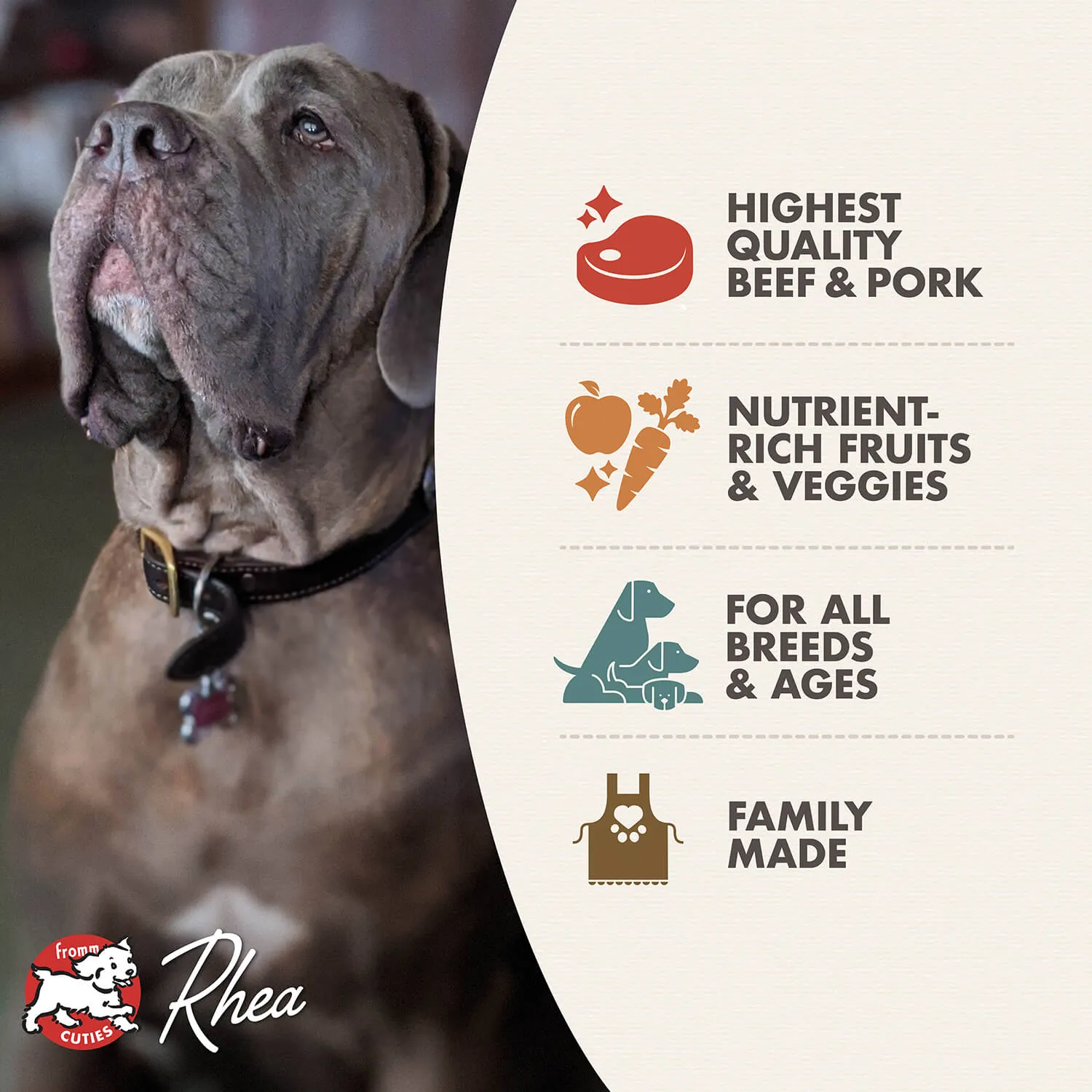 Fromm 4 Star Dry Dog Food - Beef Frittata