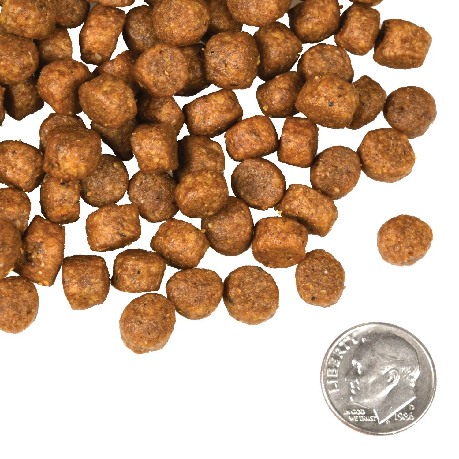 Fromm 4 Star Dry Dog Food - Beef Frittata